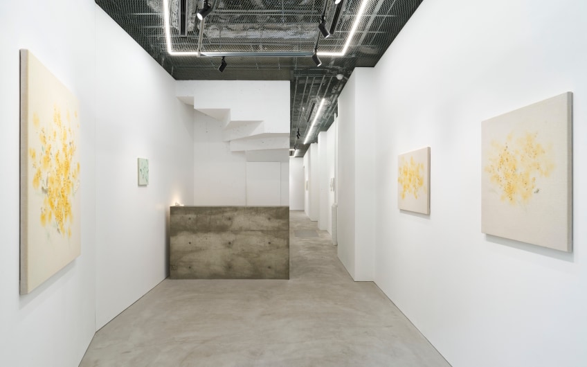 Cohju contemporary art