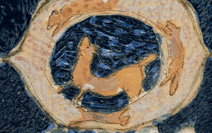 Natsuko Uchino wins the 2026 MGM Discoveries Art Prize